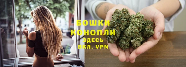 твердый Протвино