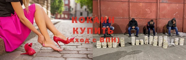 эйфоретик Баксан