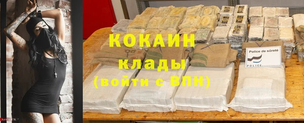 эйфоретик Баксан