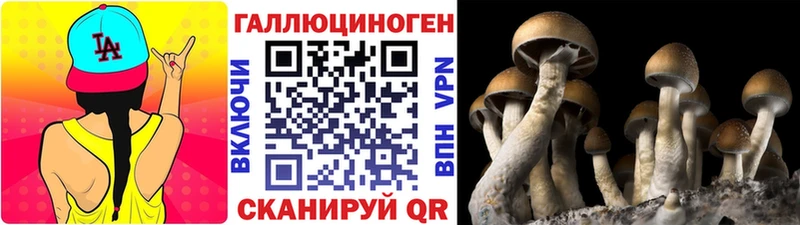 Псилоцибиновые грибы Cubensis  Сибай 